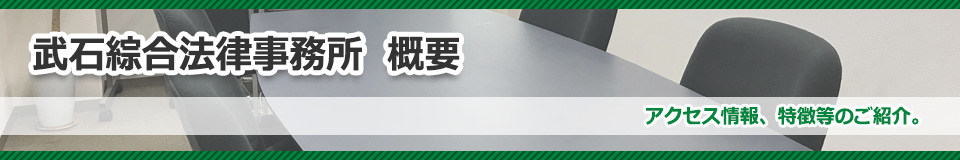 武石綜合法律事務所 概要イメージ